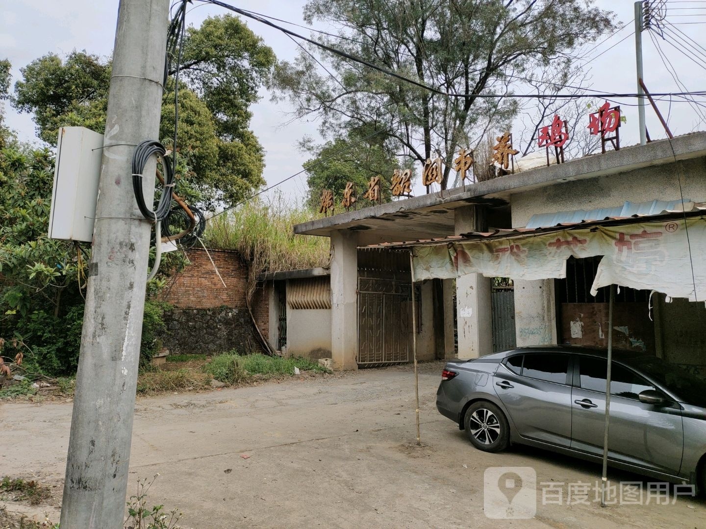 广东省韶山市养鸡场