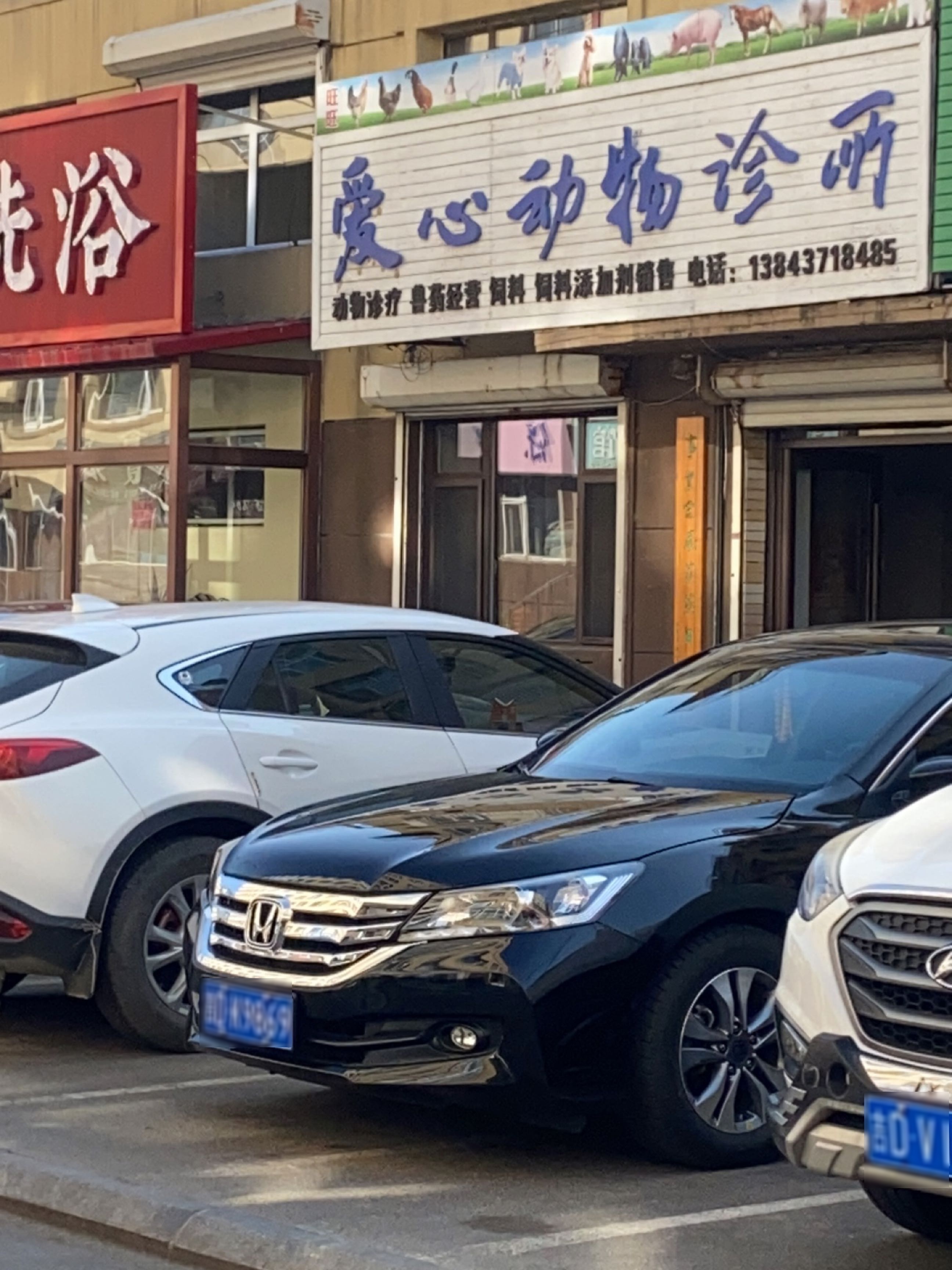 爱心动物诊所(北新胡同店)
