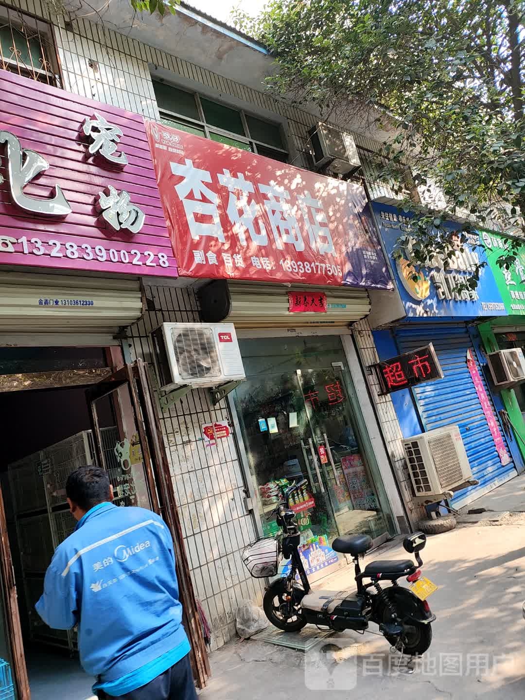 济源市杏花果品店