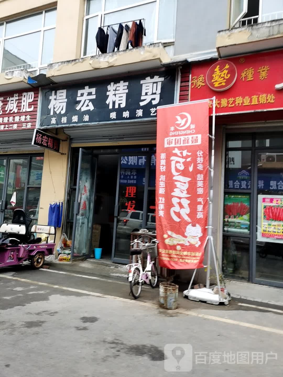 杨红精剪