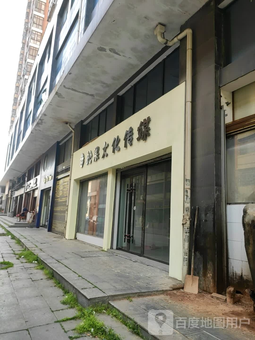 松果文化传媒