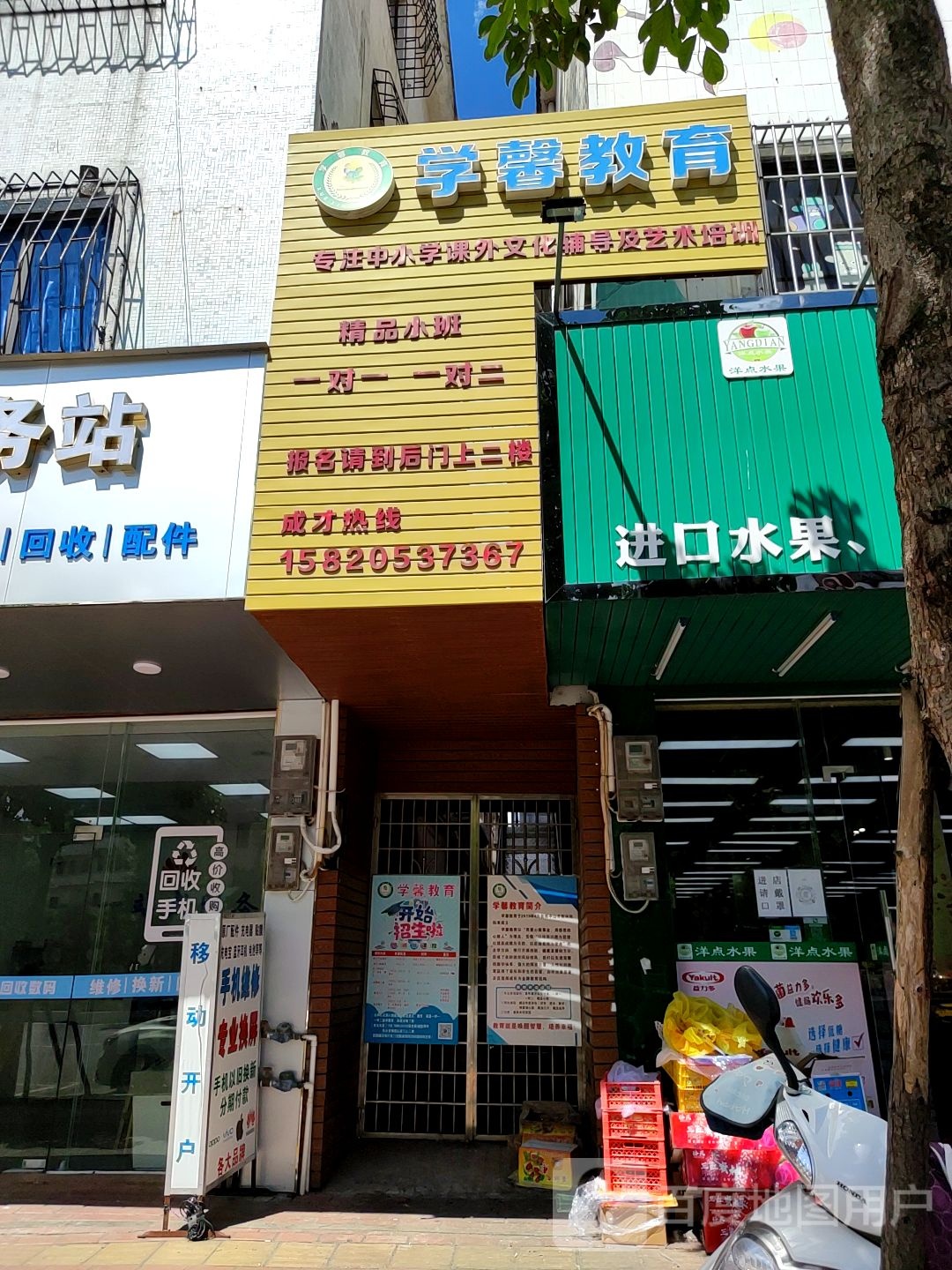 洋点水果