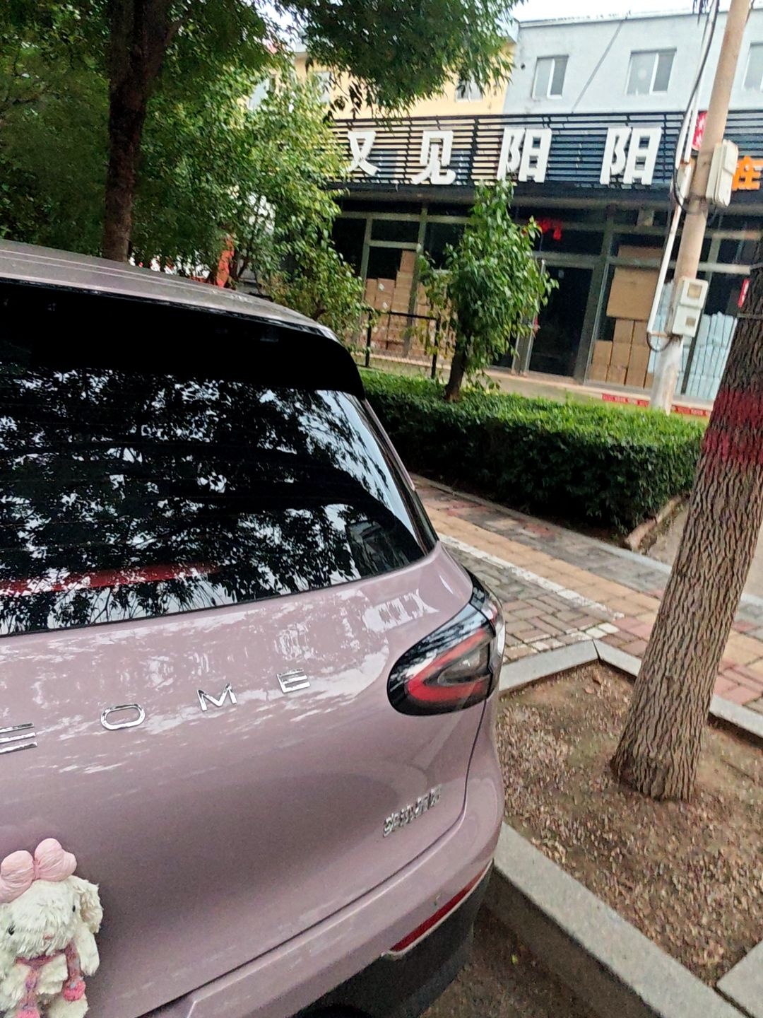又见阳阳