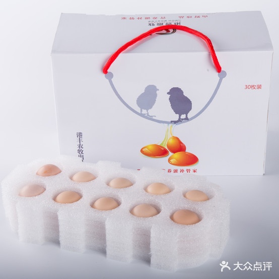 港丰瑶山鸡运营中心