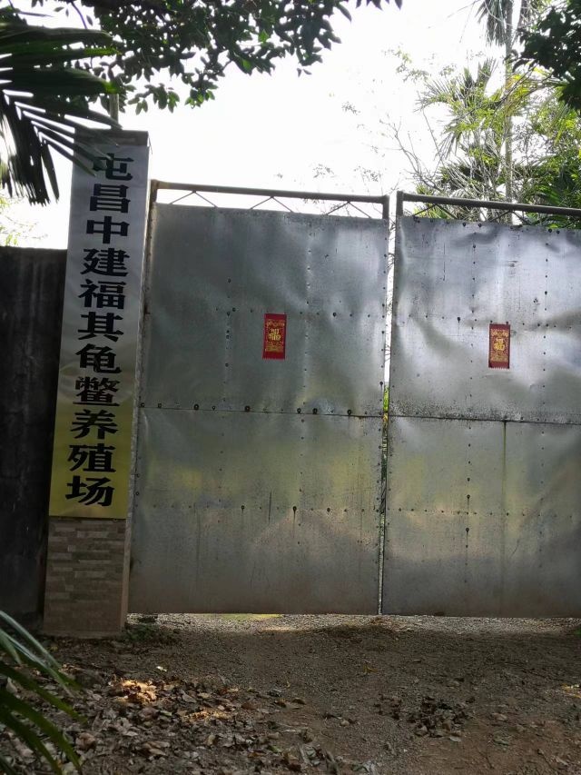 屯昌县坡心镇中建农场十队福其龟鳖养殖场