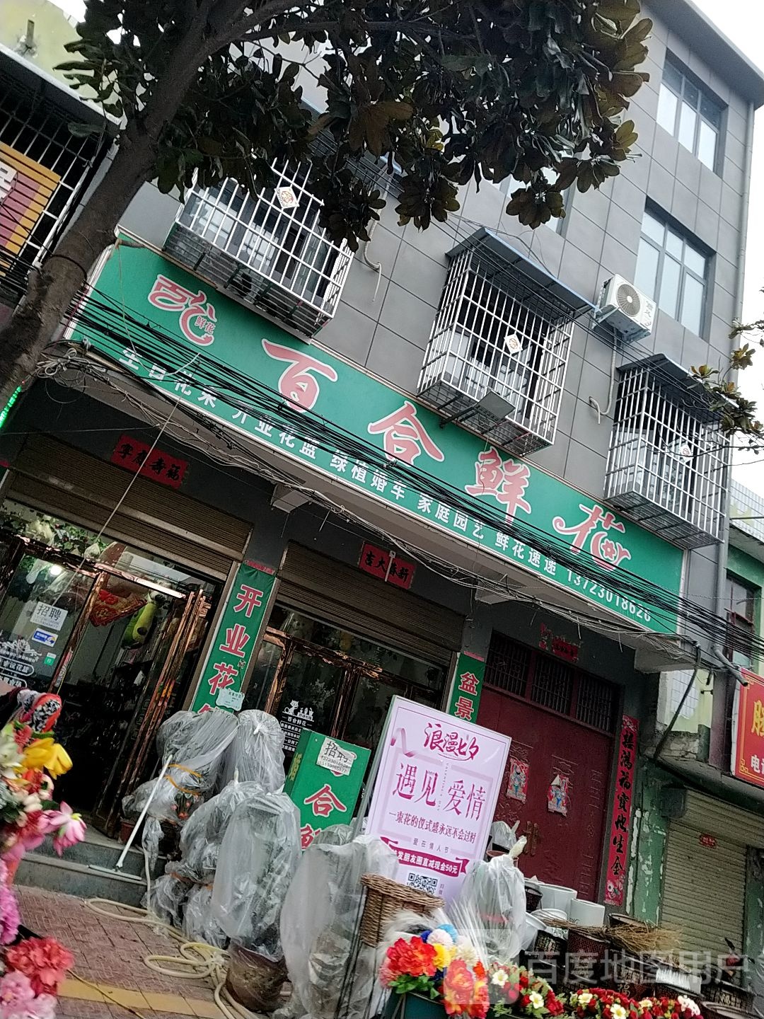 镇平县石佛寺镇百合鲜花(石佛寺店)