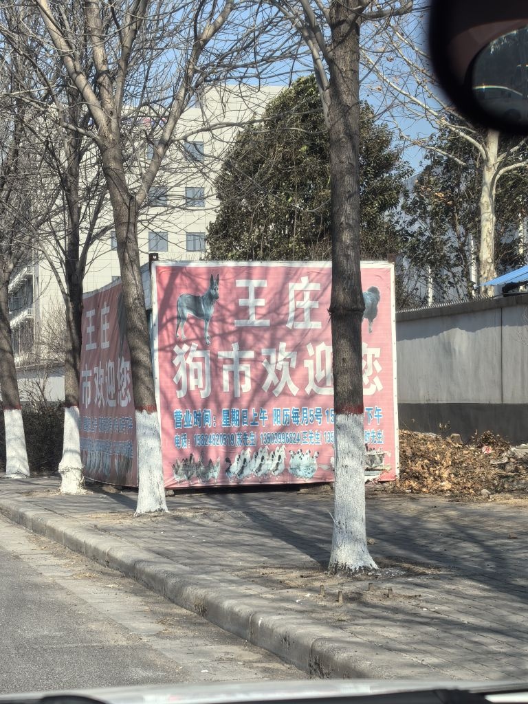 荥阳城关王庄狗市