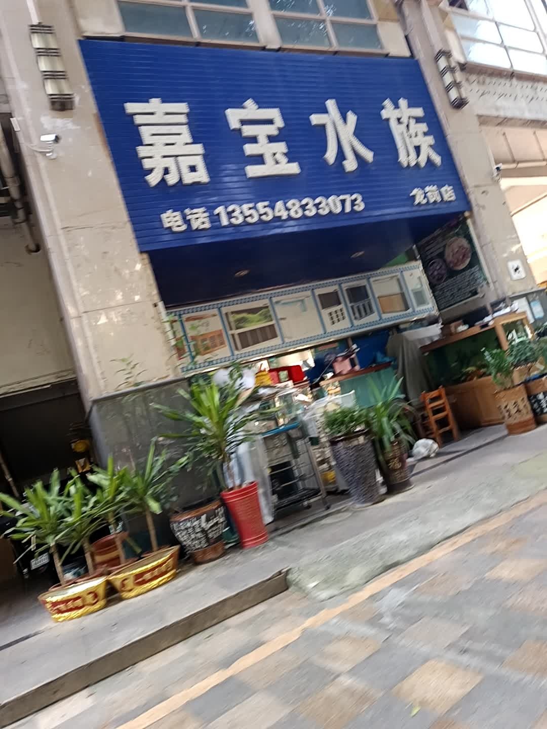 嘉宝水族(龙岗店)