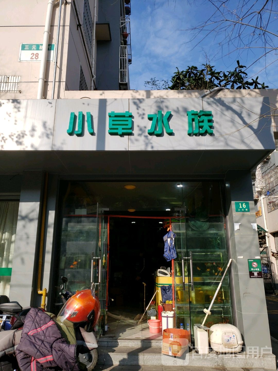 小草水族