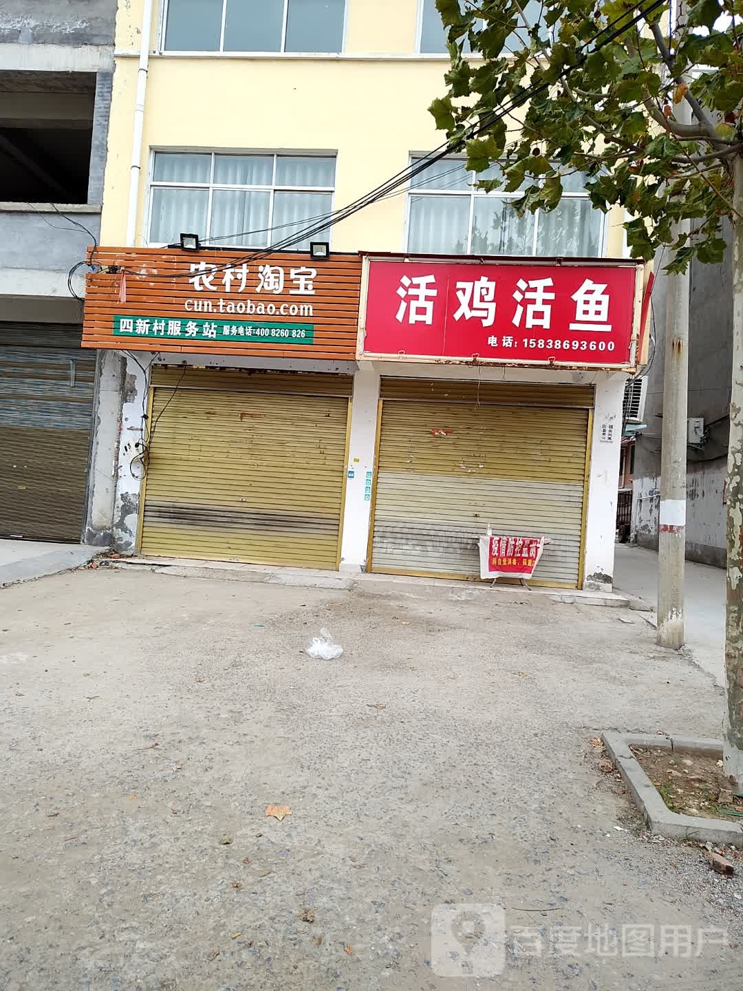 鹿邑县活鸡活鱼(栾台路店)