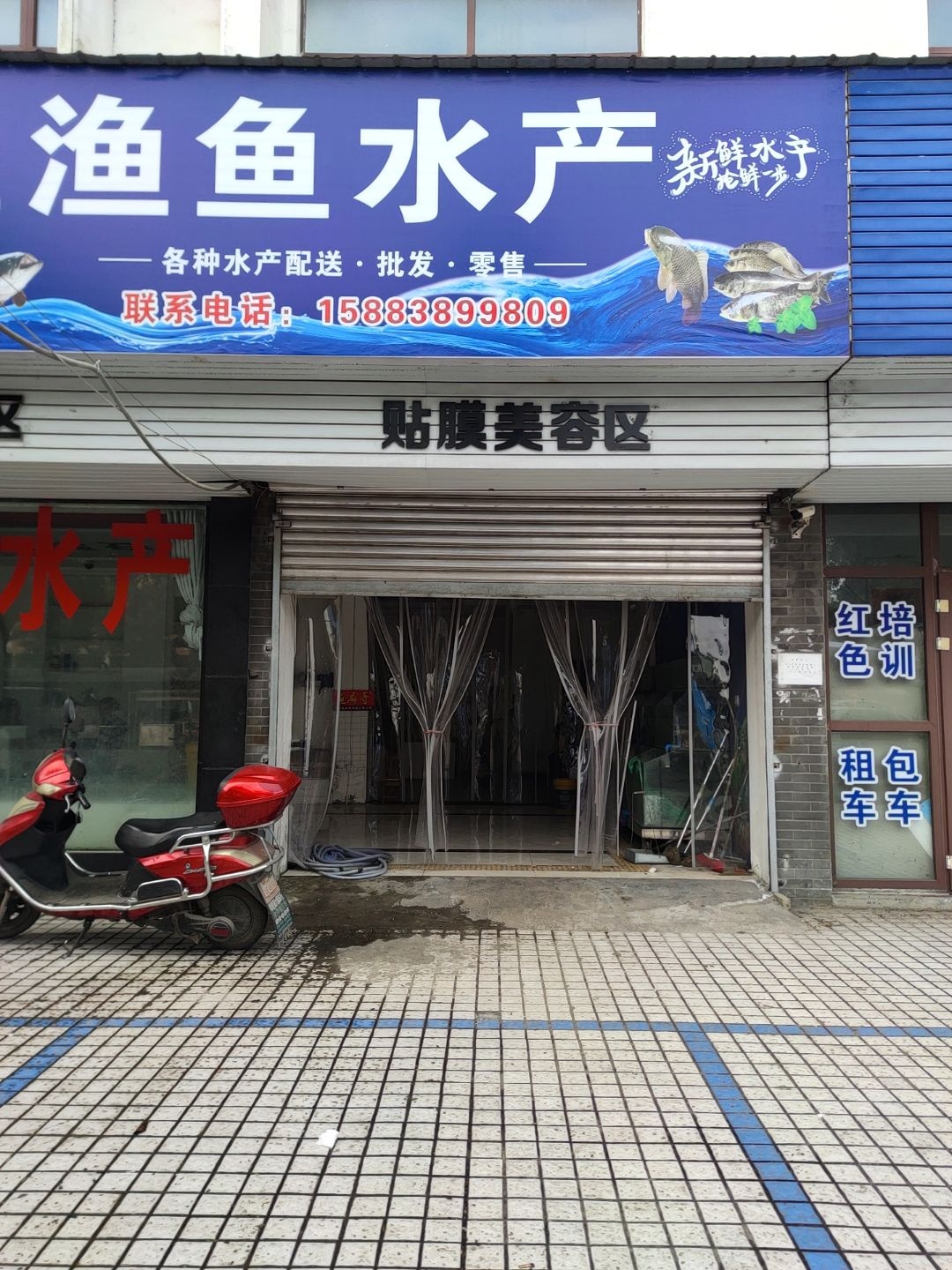 渔鱼水产