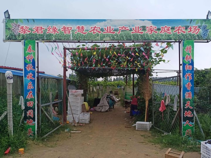 黎君缘智慧农业产业家庭农场(南丰分场)