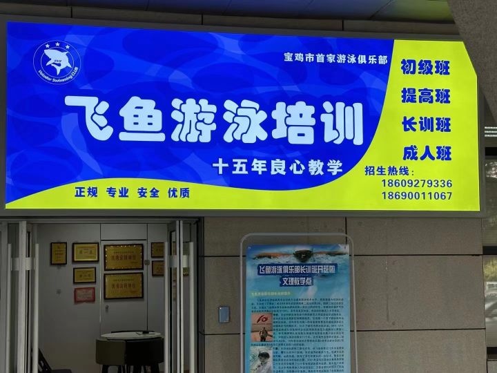 飞鱼游泳培训