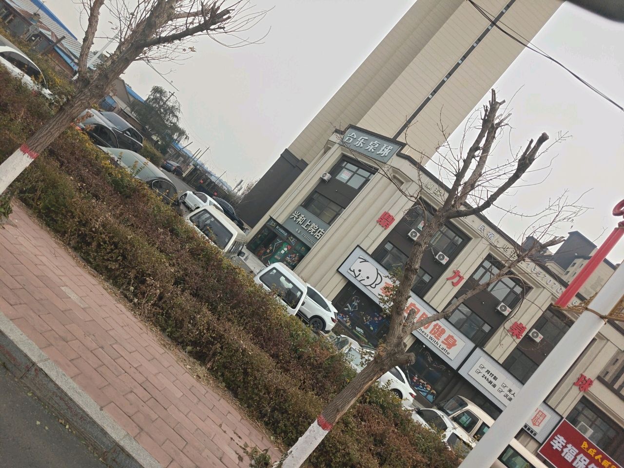 台乐桌球