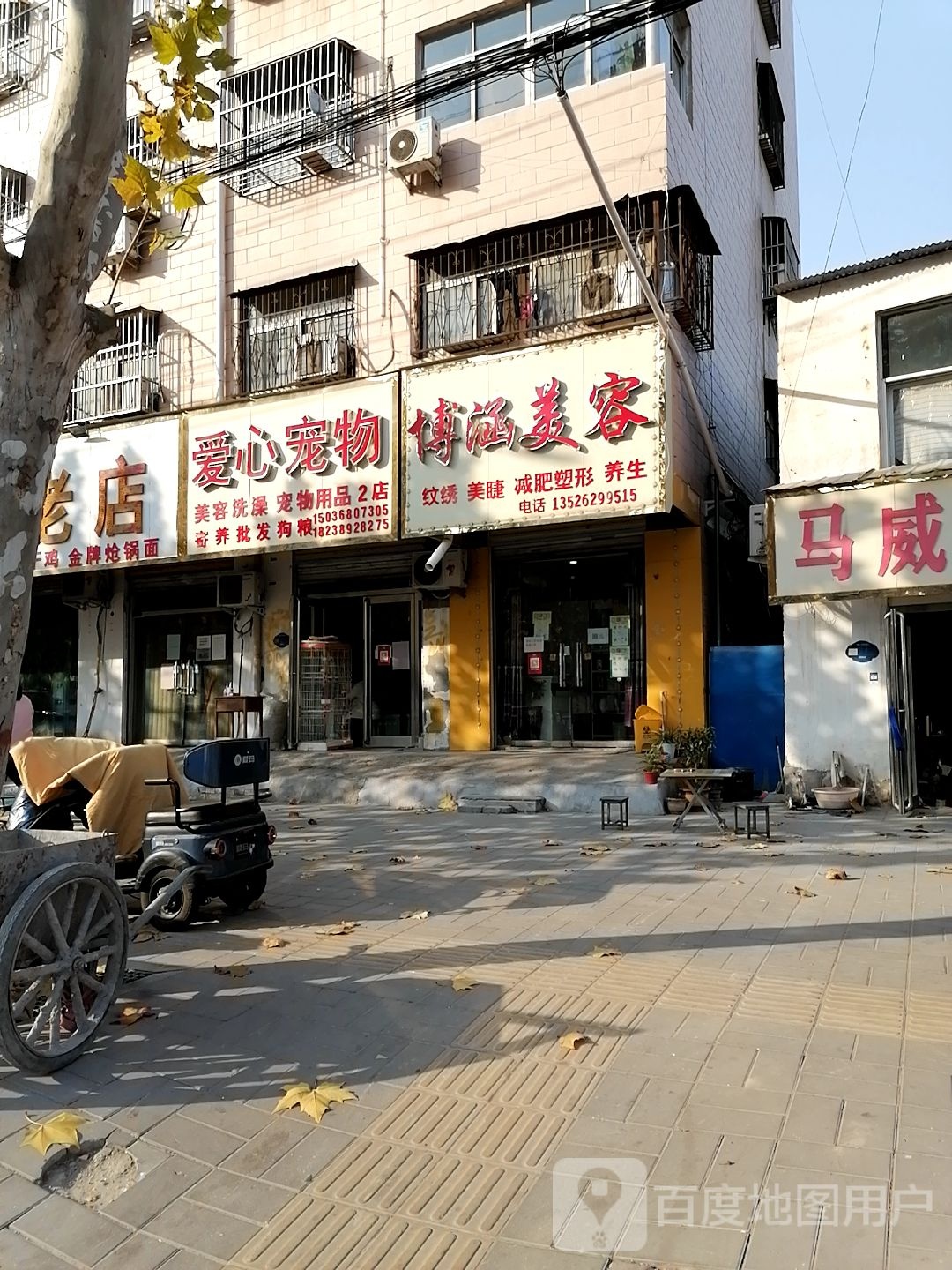 爱心宠物(建设大道店)
