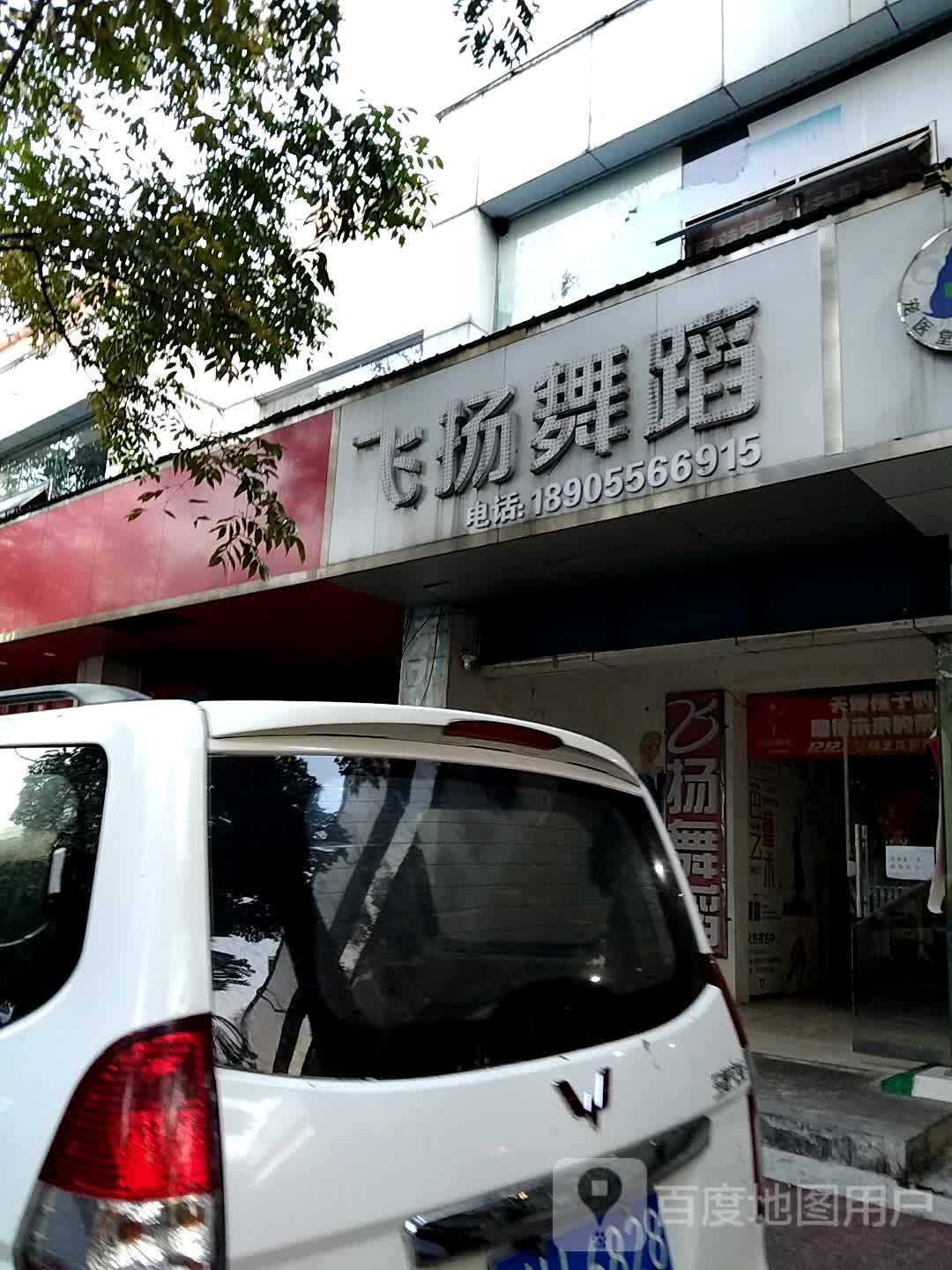 飞扬辅蹈(湖心北路店)