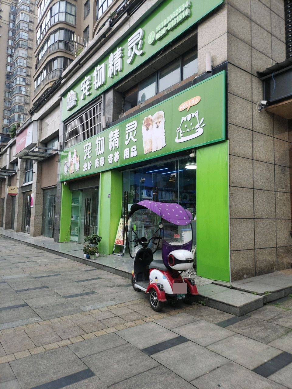 宠物精灵(滨江路店)