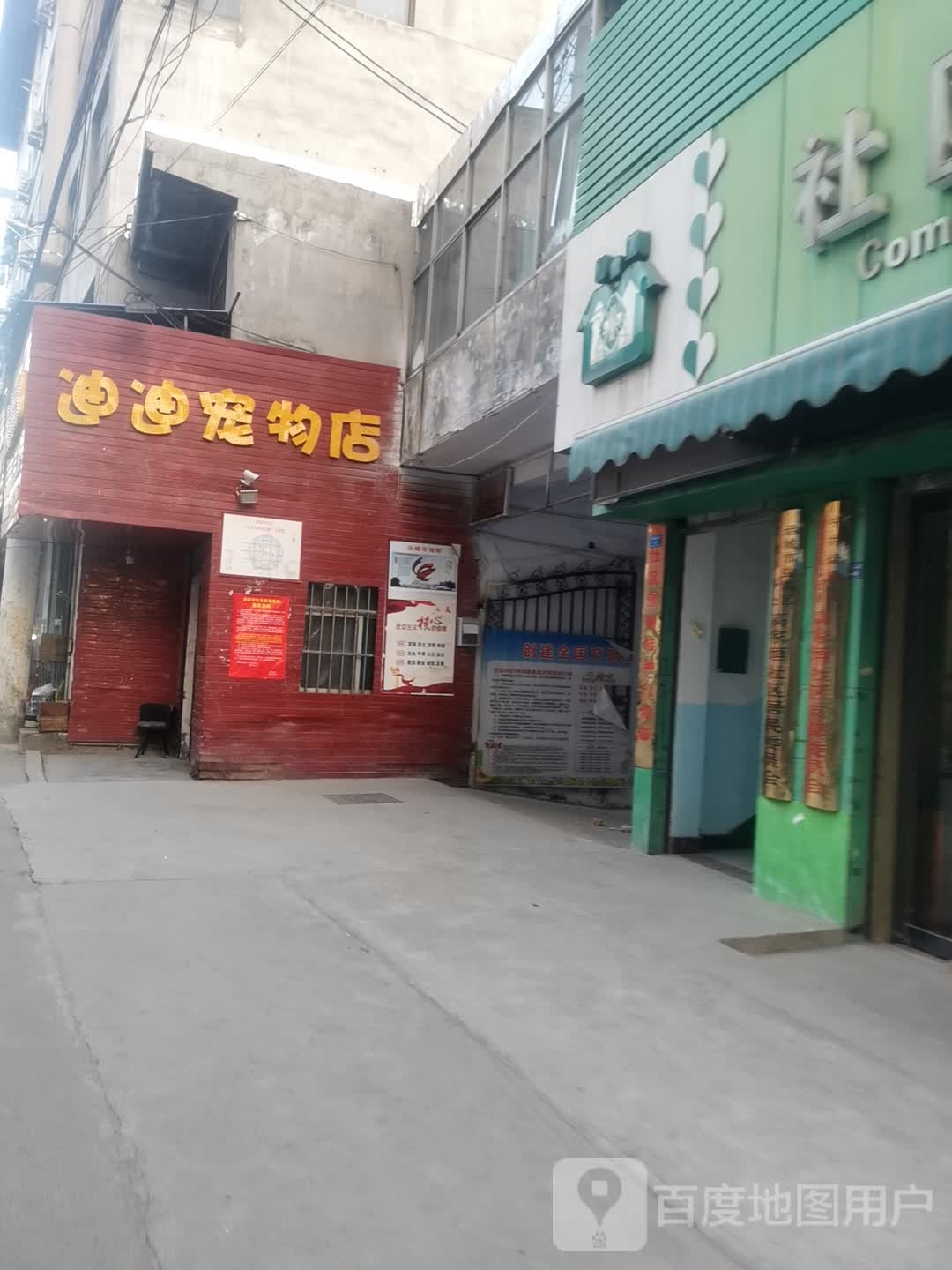 迪迪宠物店