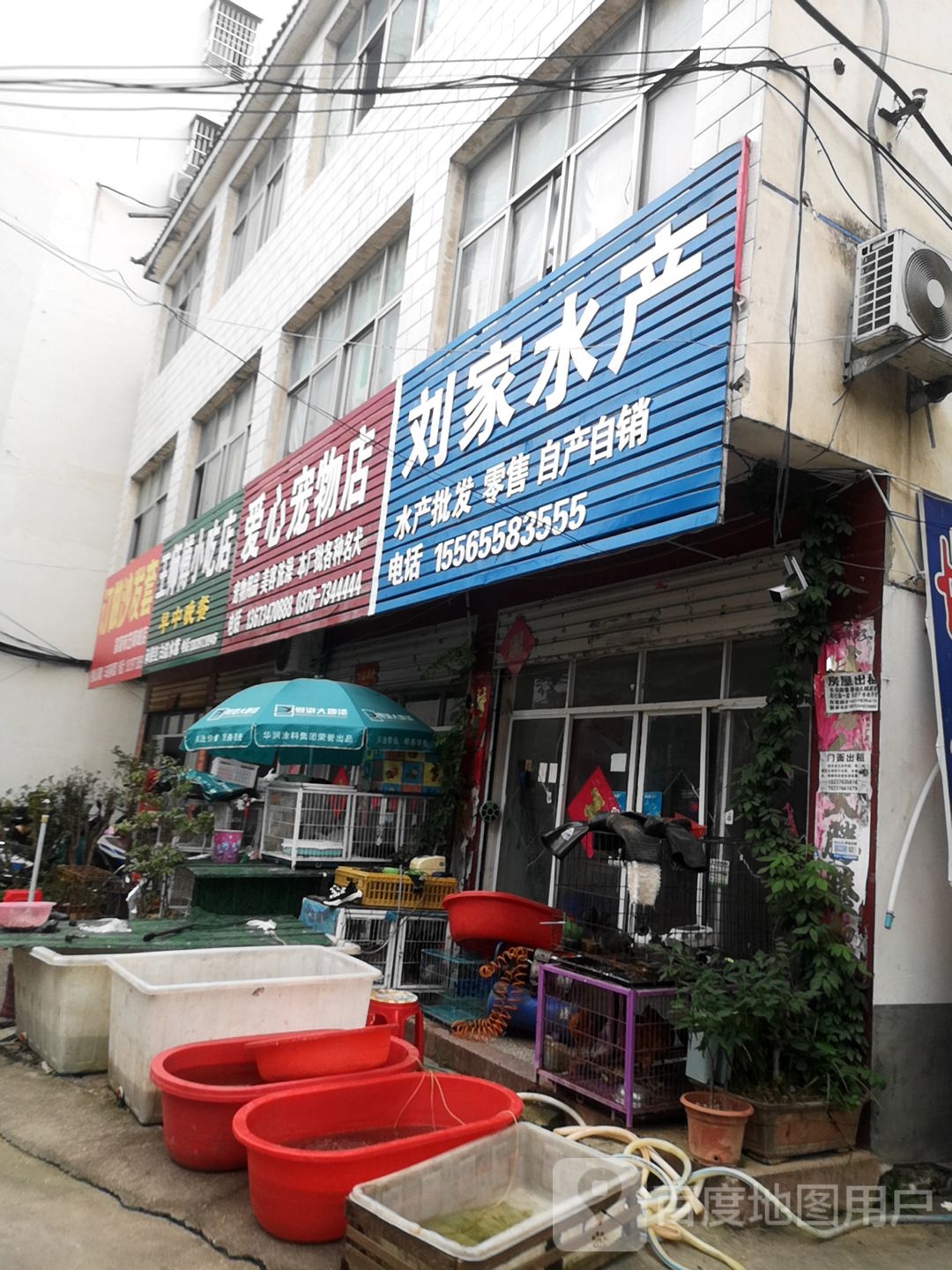 爱心宠物店(金刚台大道店)