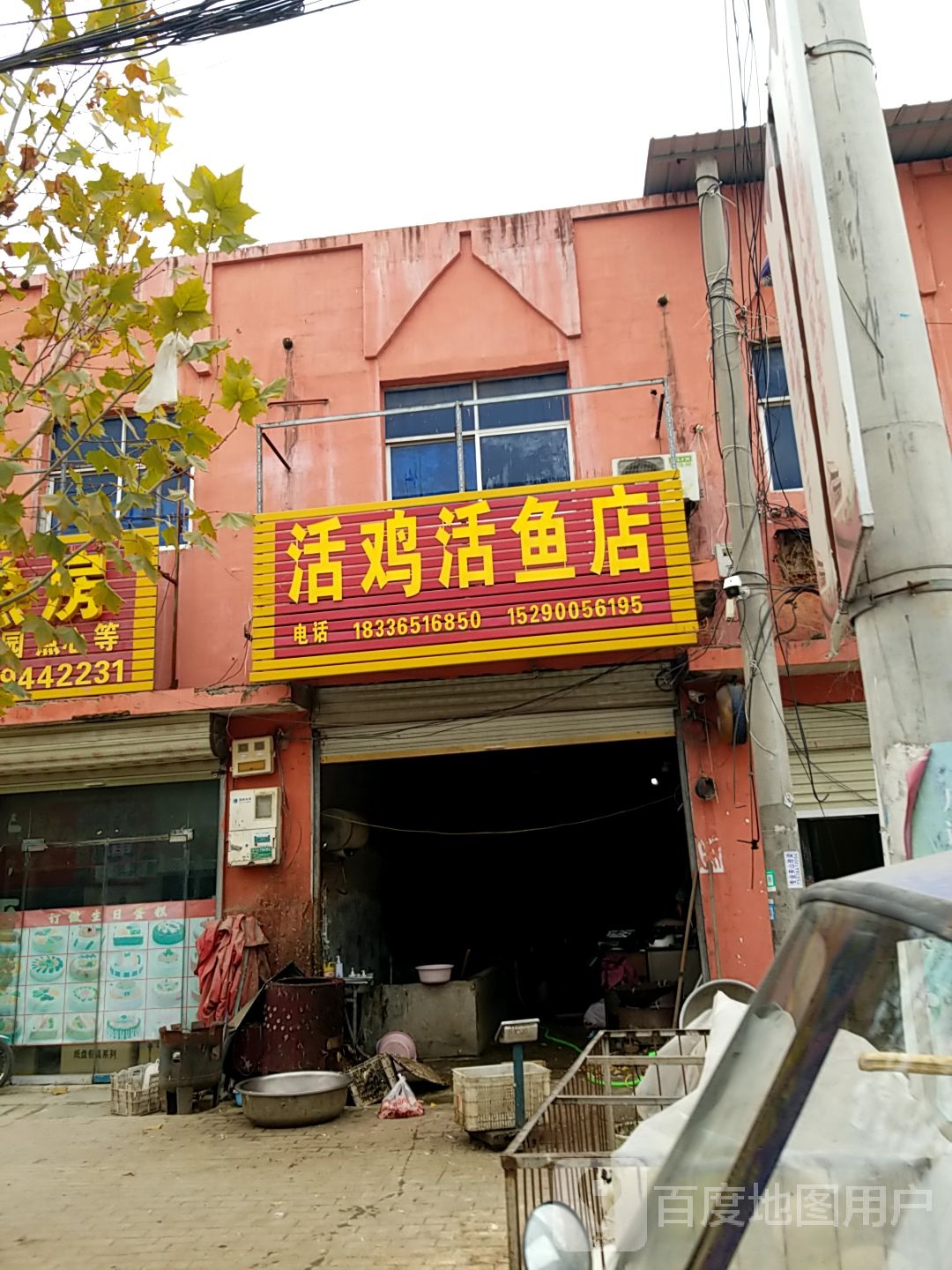 太康县大许寨镇活鸡活鱼店(昌盛大道店)