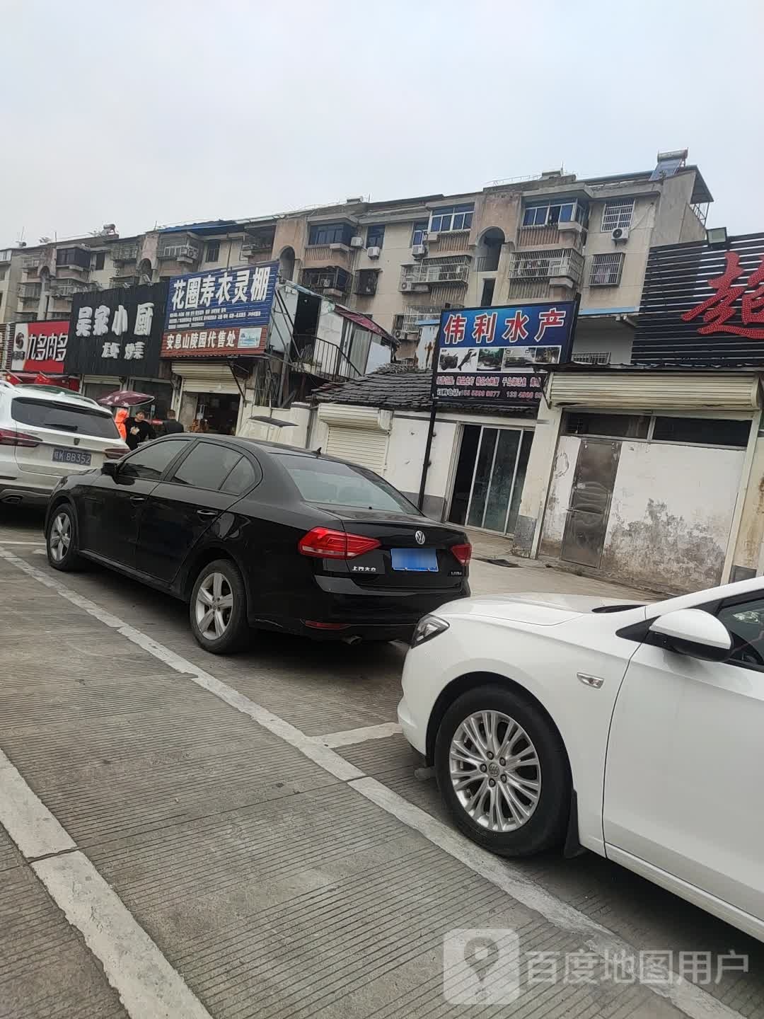 伟力水产