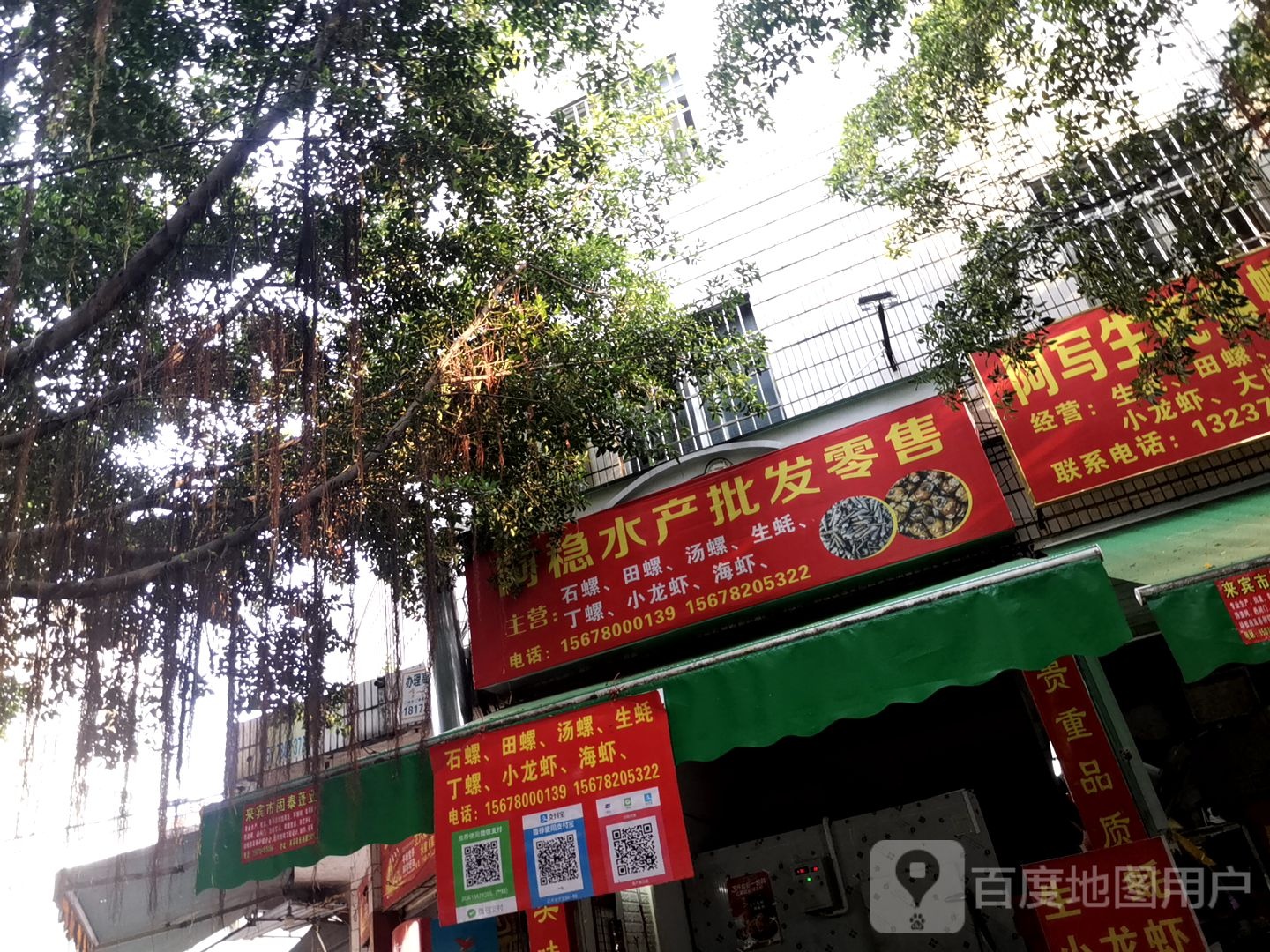 阿稳水产批发零售