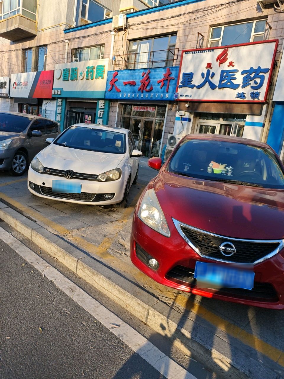 天一花卉(听月苑小区店)