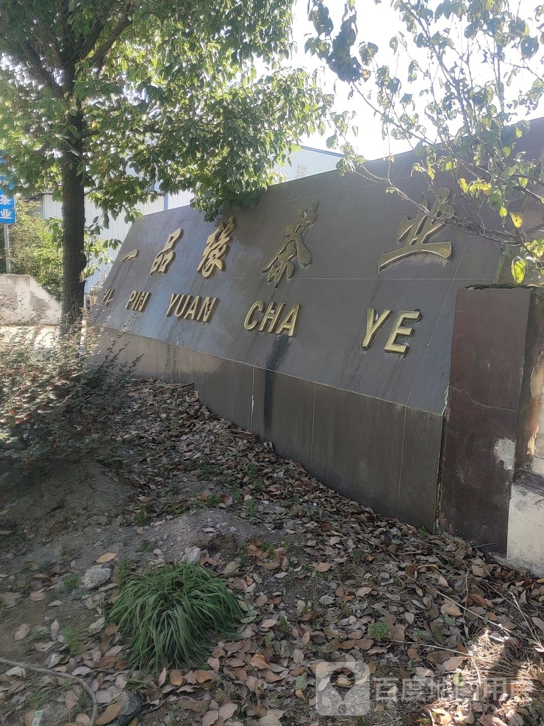 一品缘茶业