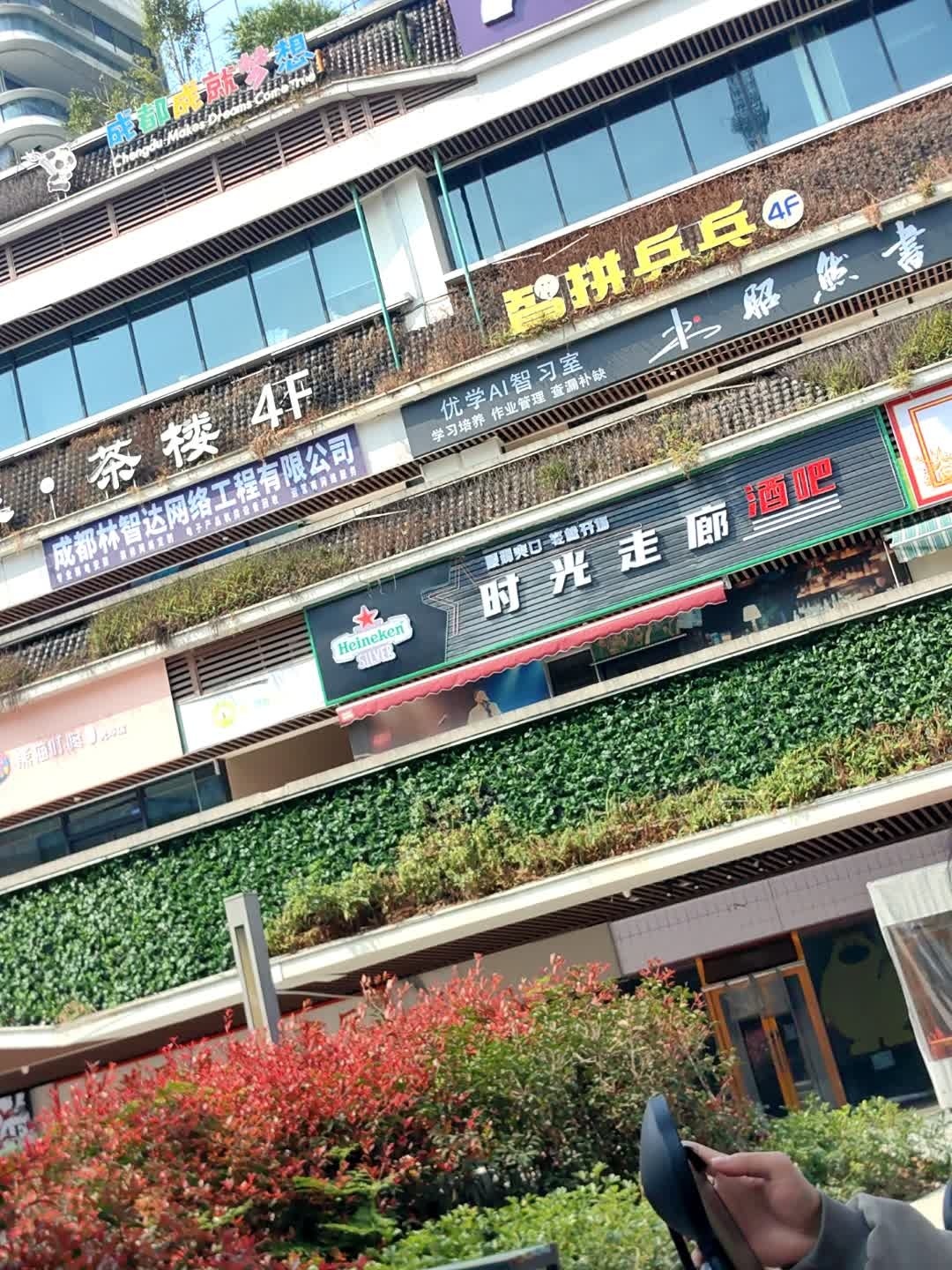 智拼乒乓(西南财大店)