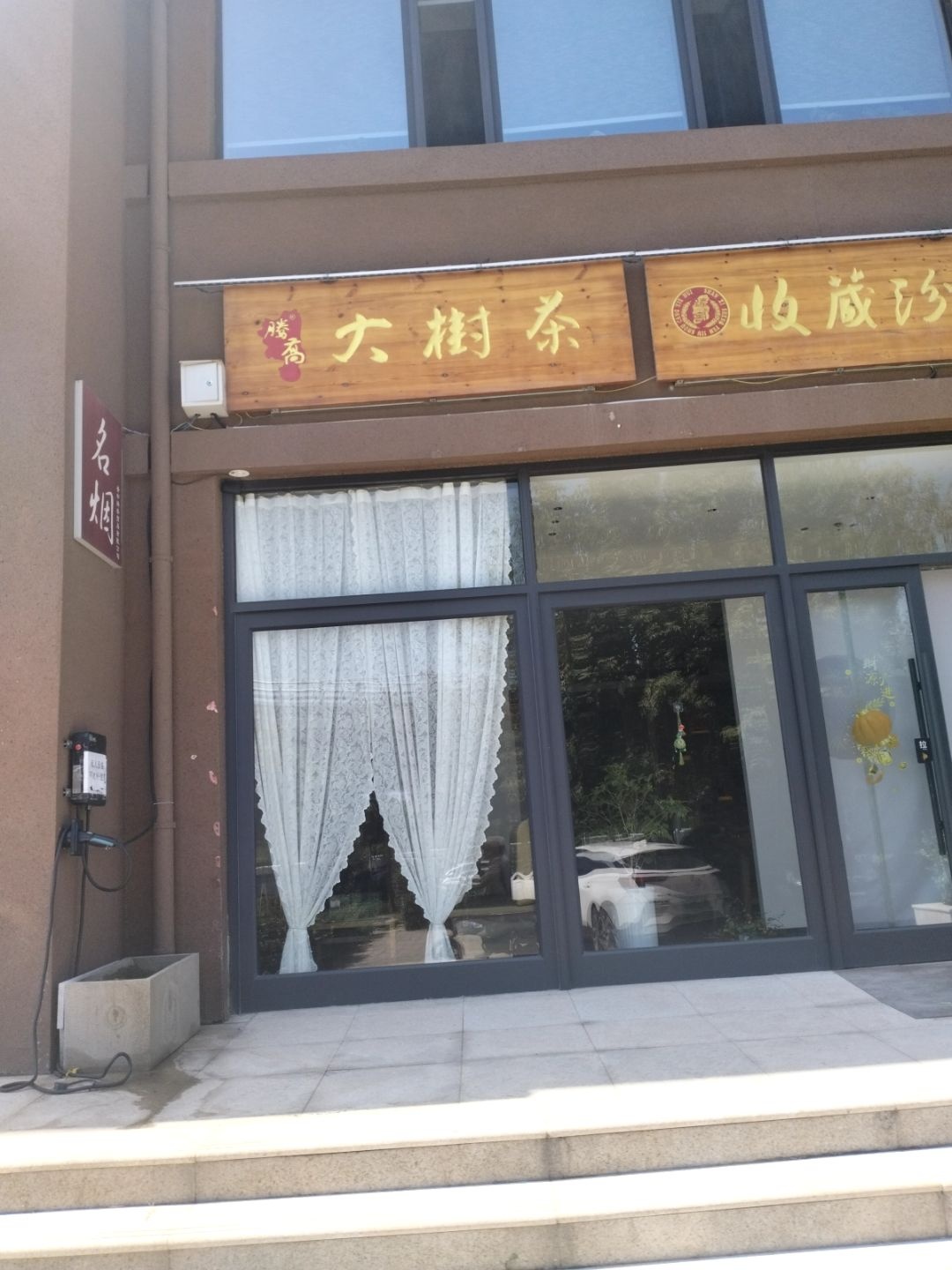 腾高大树茶