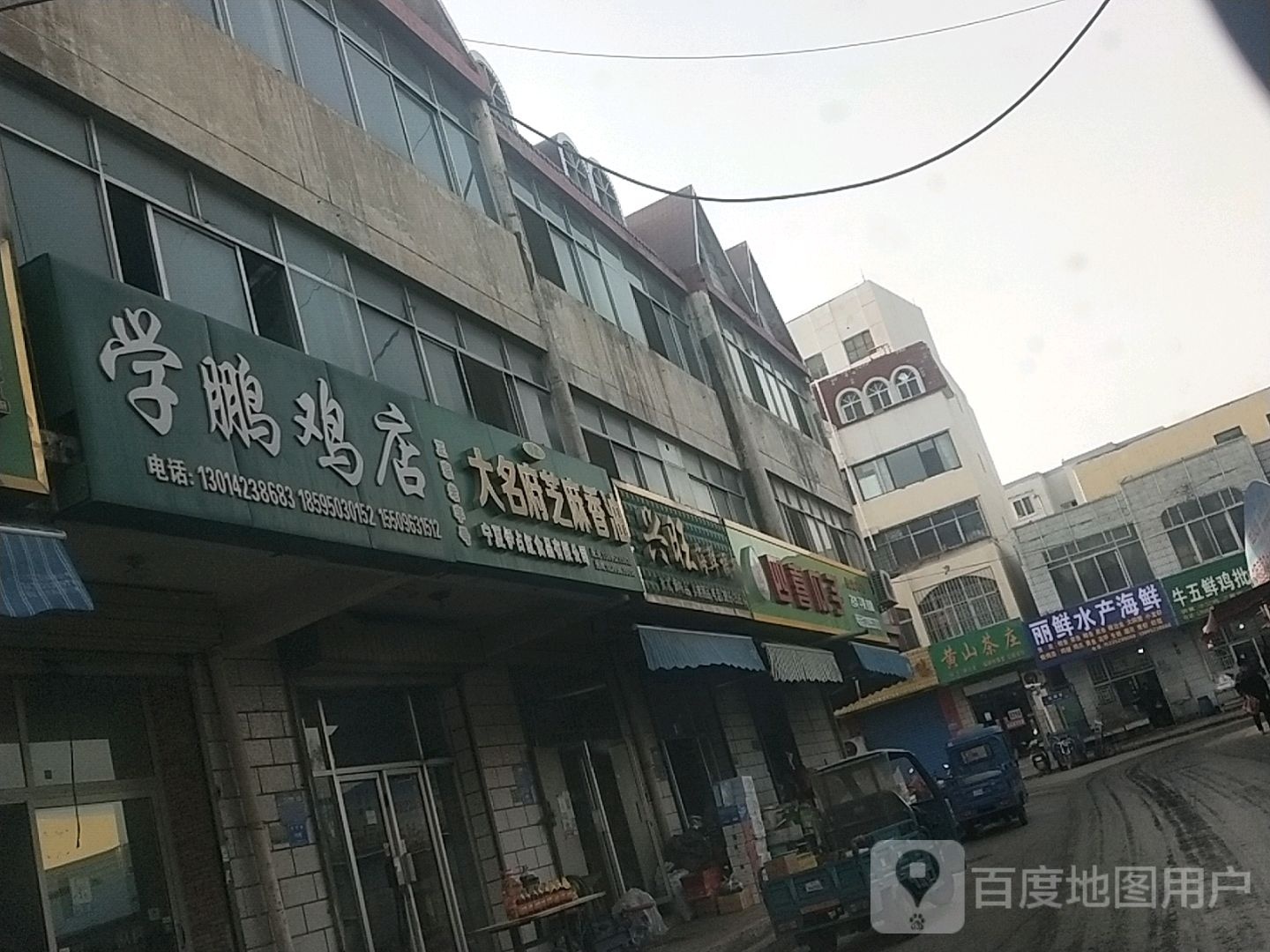 鲜丽最论水产海鲜
