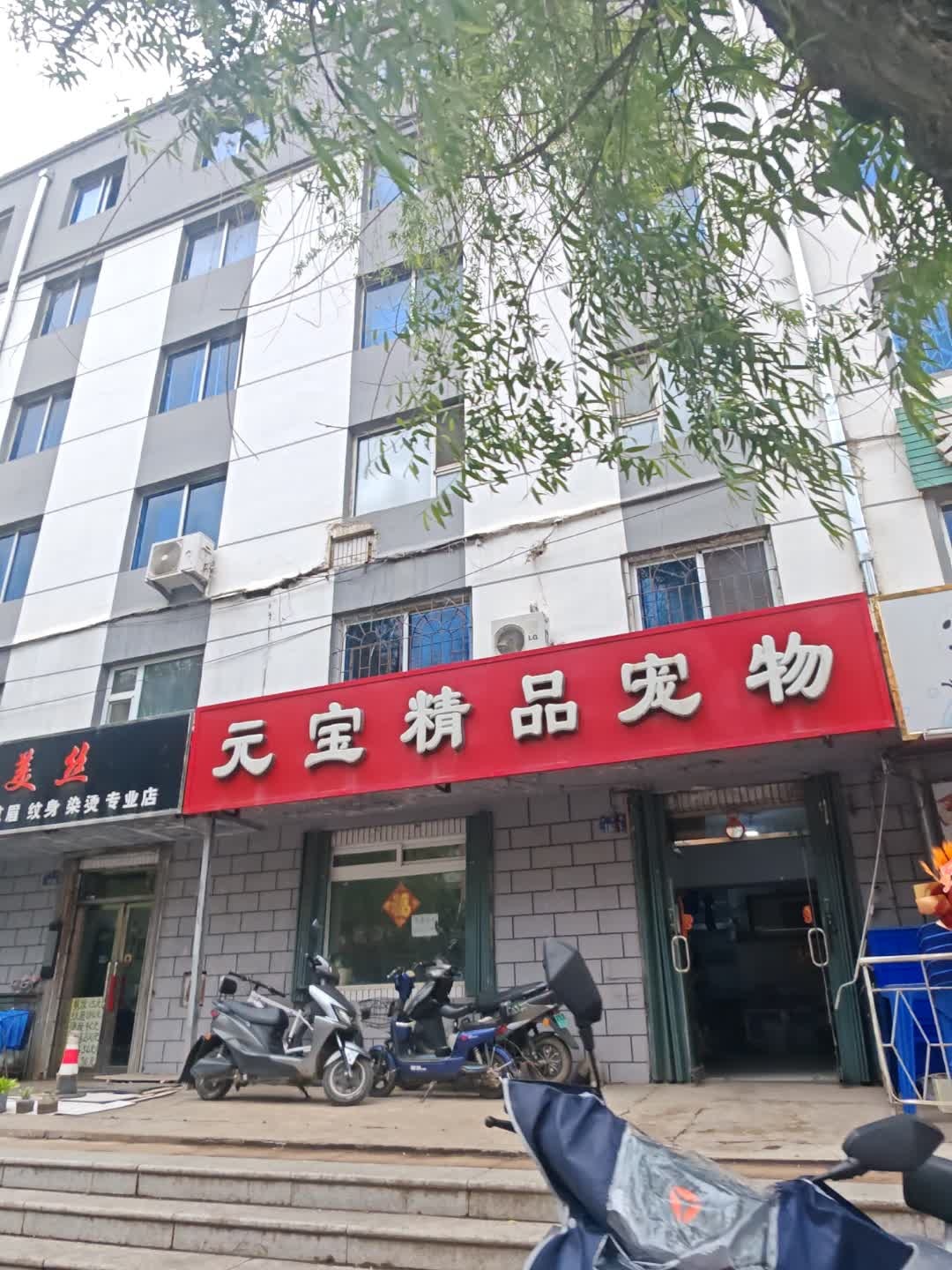 元宝精品宠物(长寿街店)