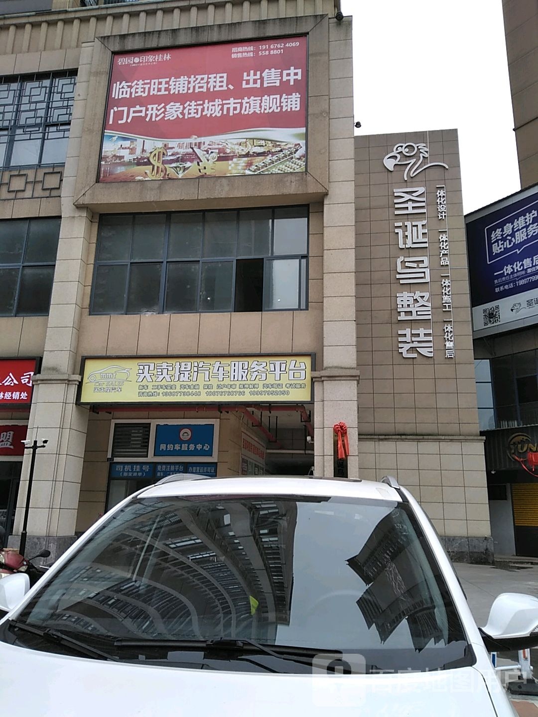 圣诞鸟整装