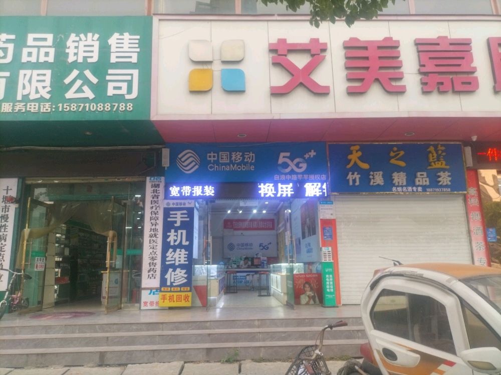 中国移动(大桥河桥头店)