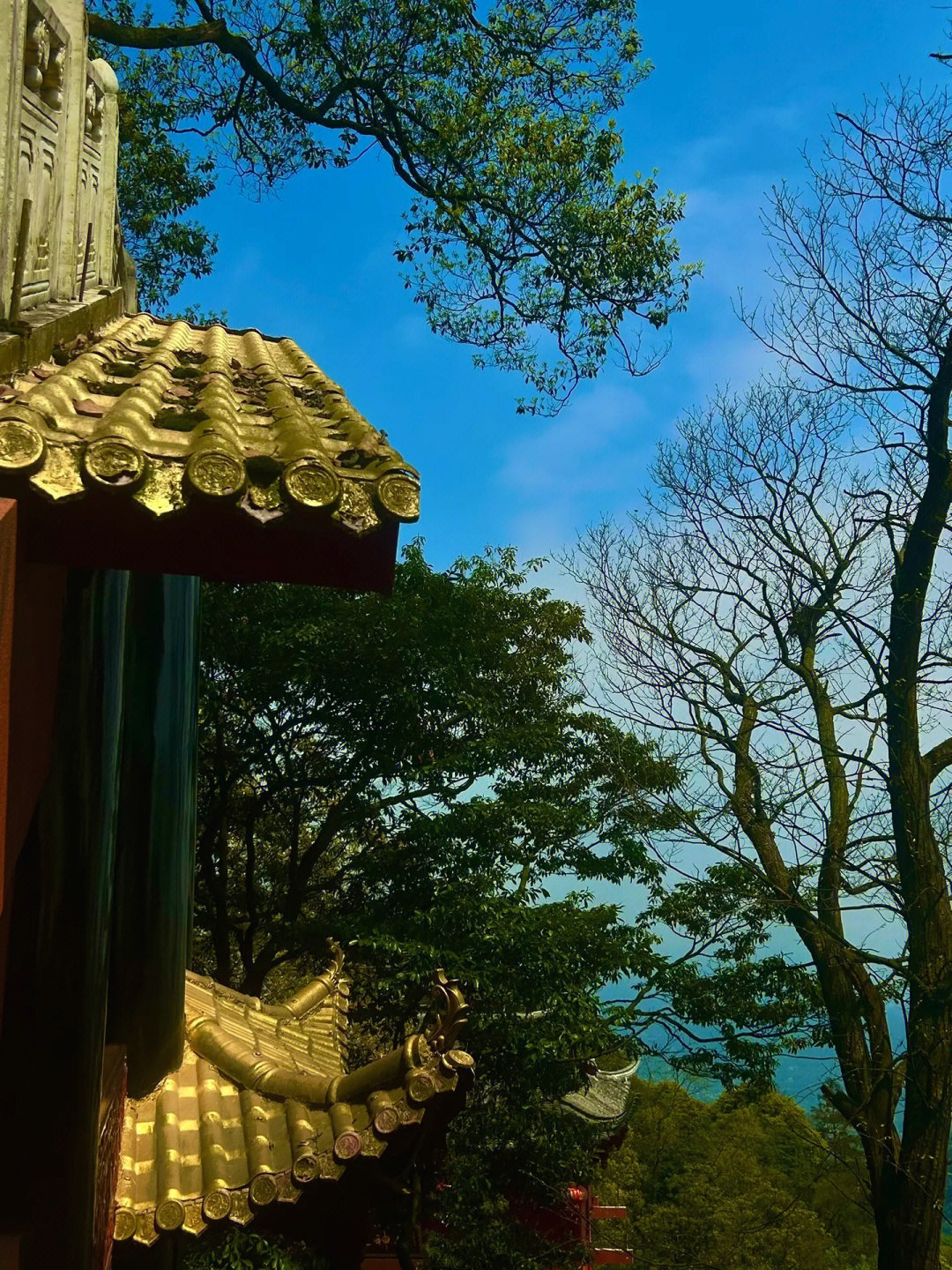 青城前山