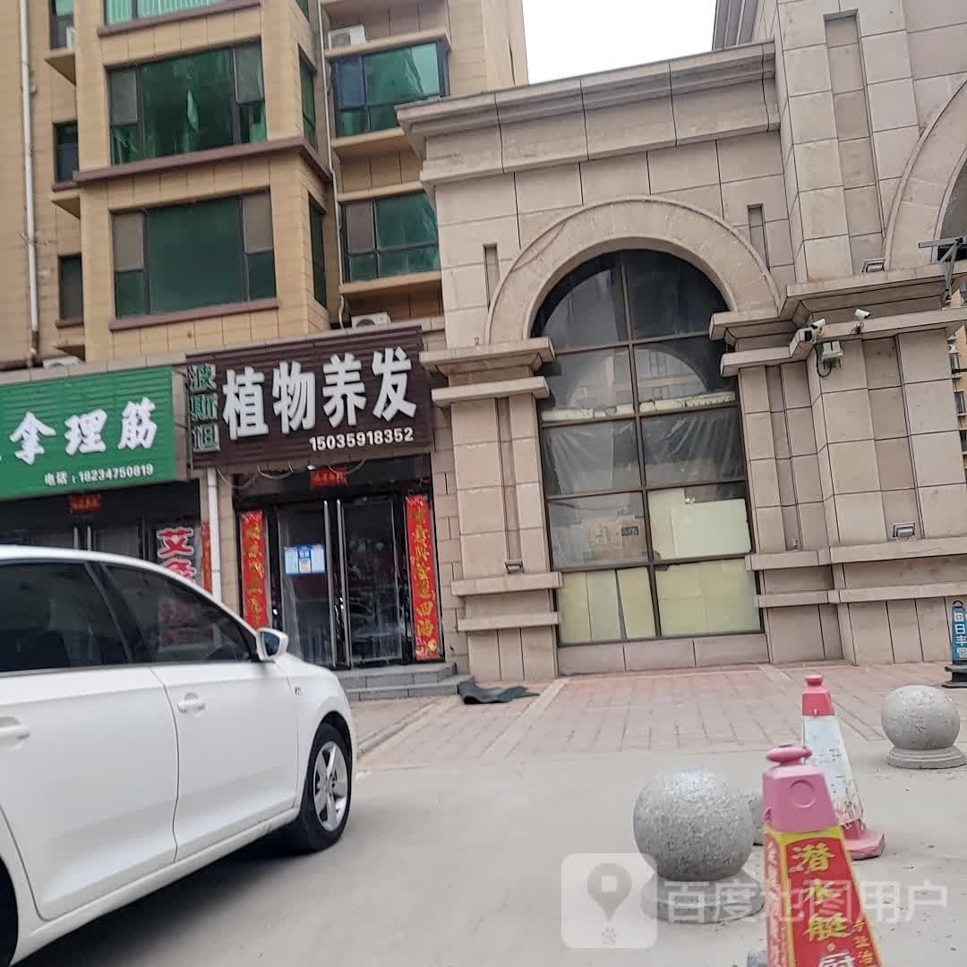 波斯坦植物养法