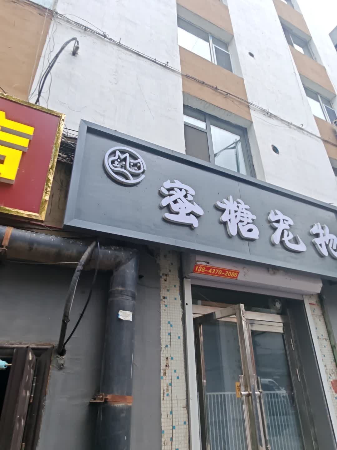 蜜糖宠物