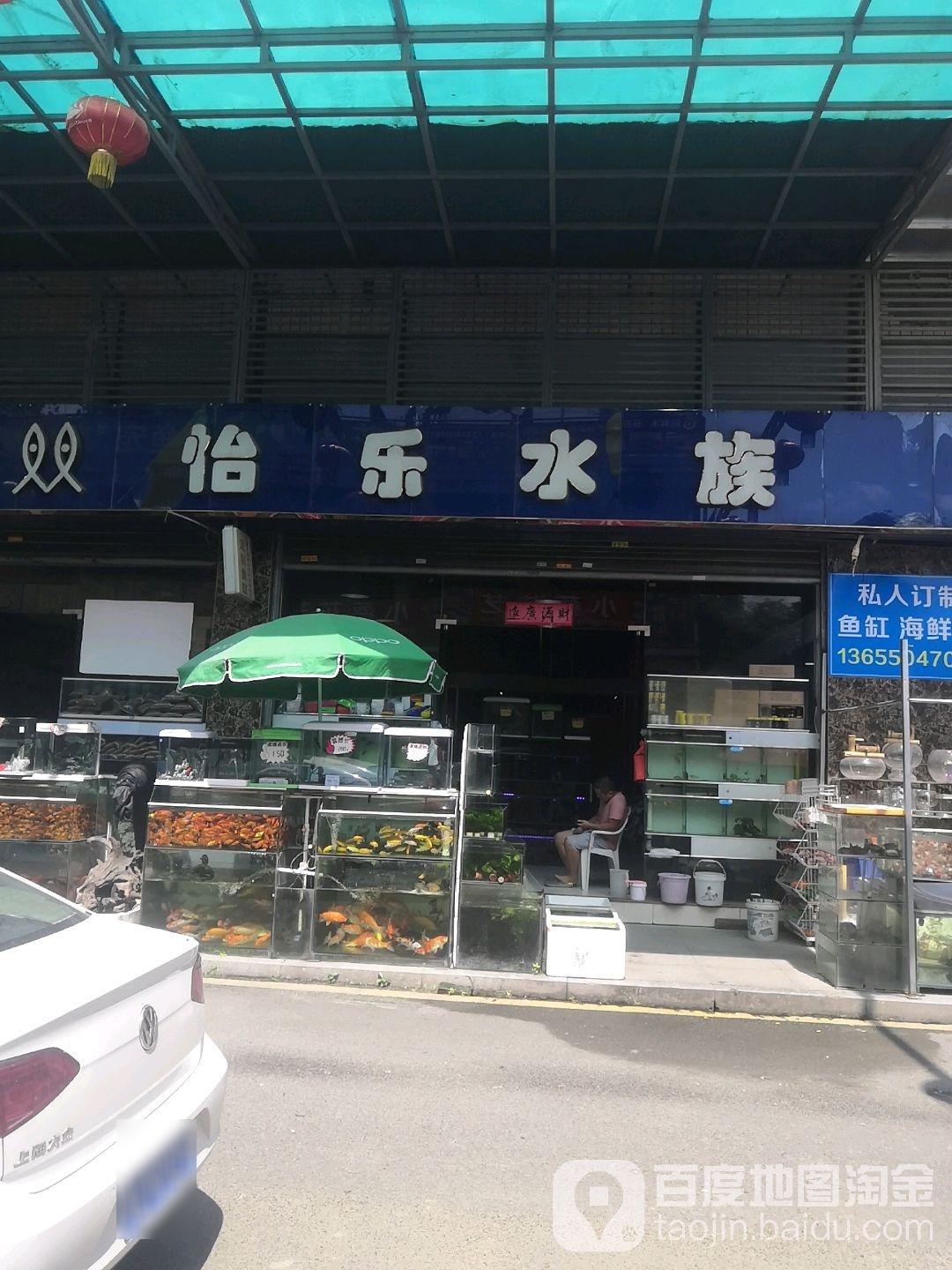 怡悦水族(花鸟市场店)