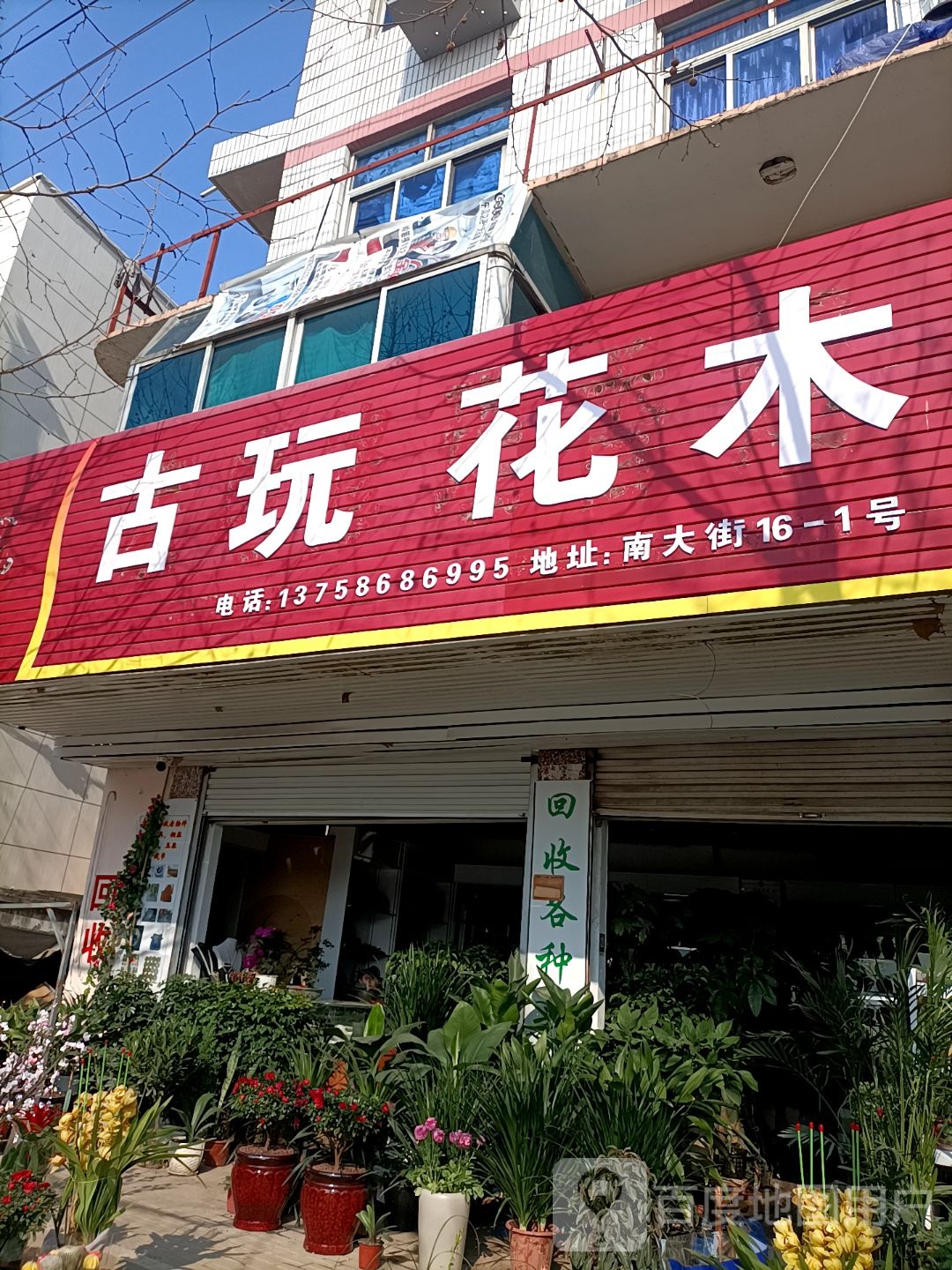 古玩花木