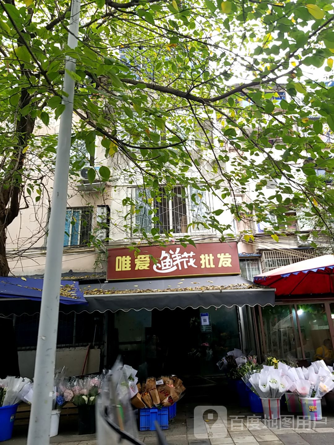 唯爱鲜花批发(莲花北路店)