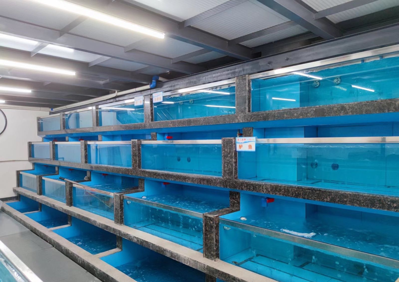 东门海鲜(绵阳迎宾路店)