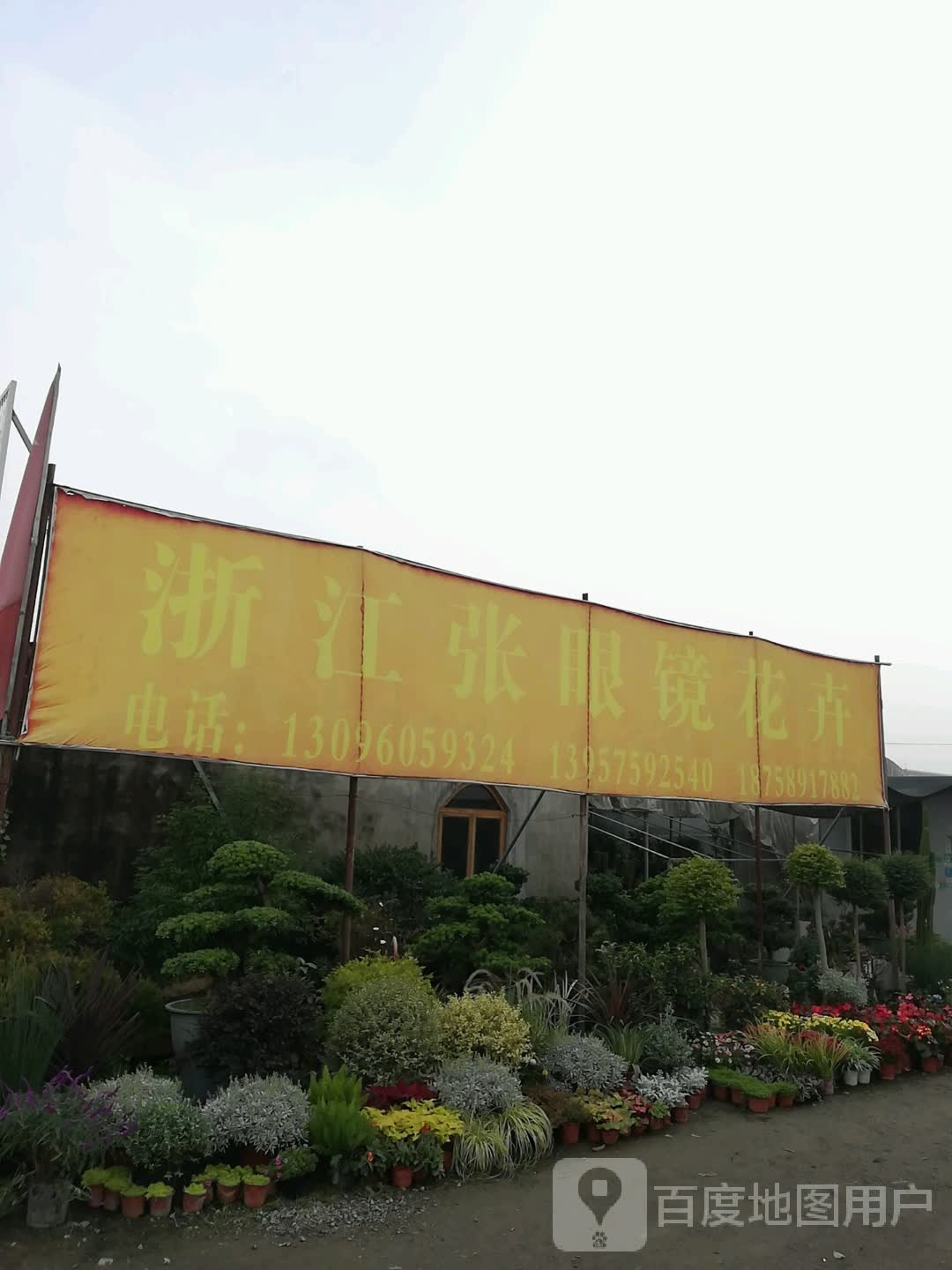 淅江张眼镜花卉