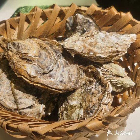 蚝毫无抵抗·小酒馆(武林路店)