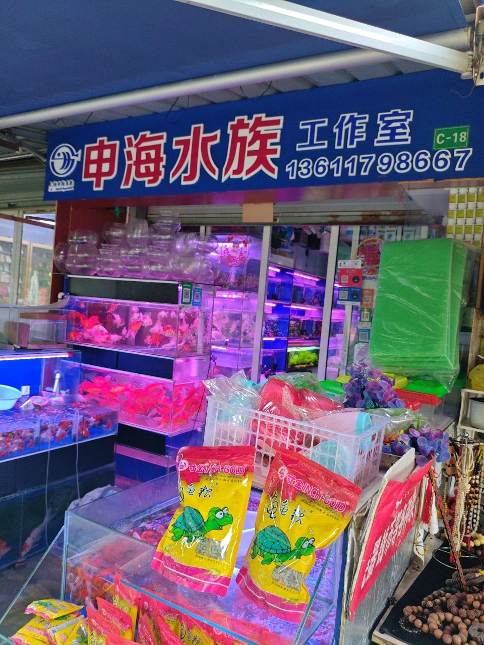 申海水族工作室