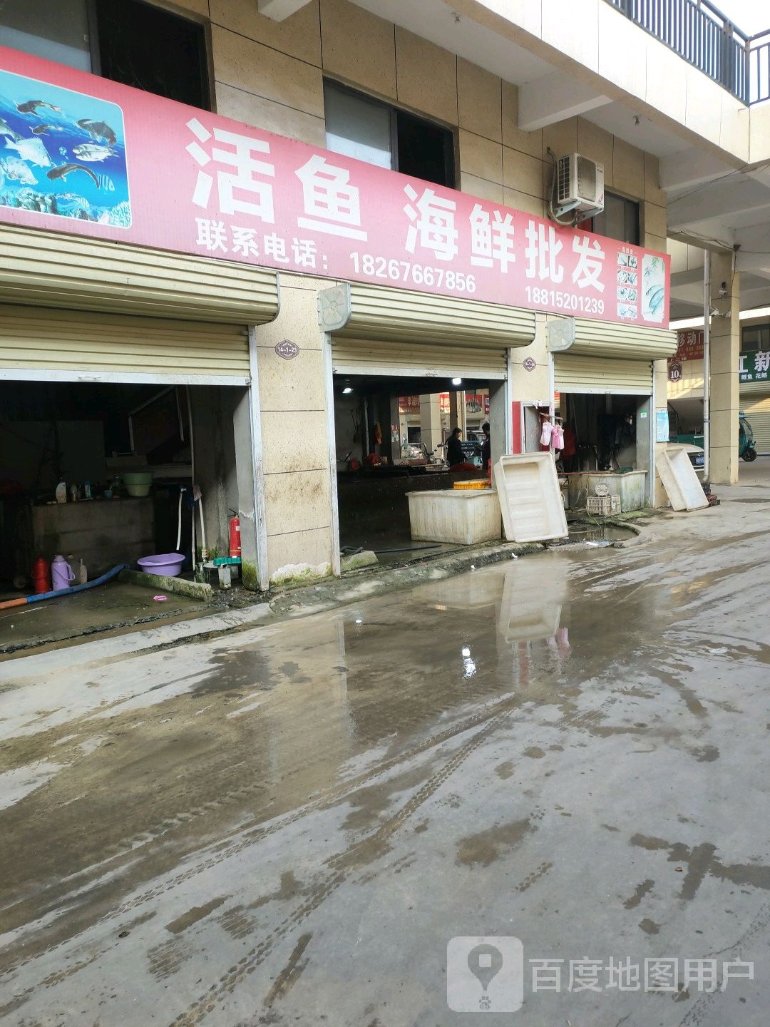 老张鱼行活鱼海鲜批fa