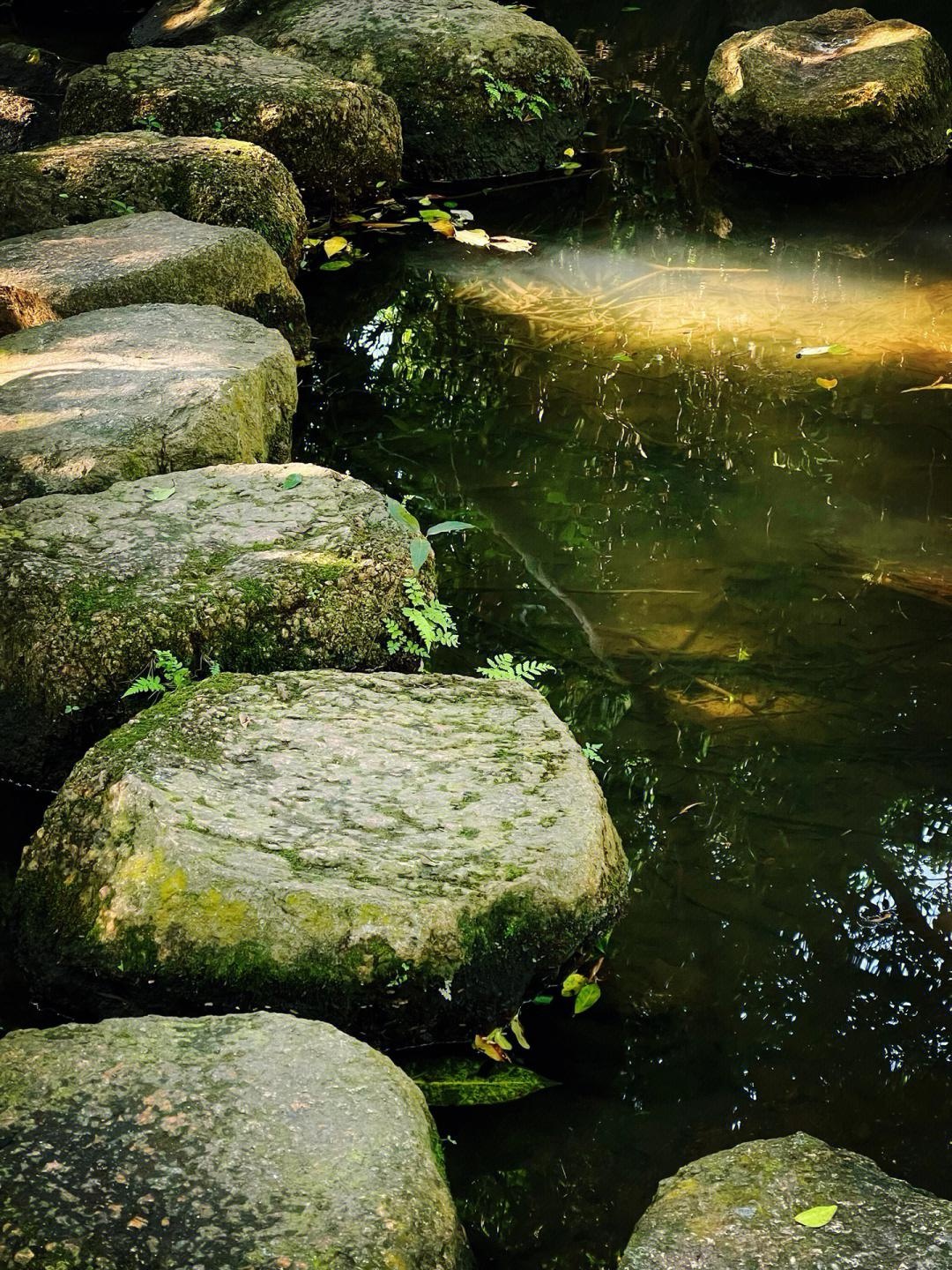 燕晗山郊野公园