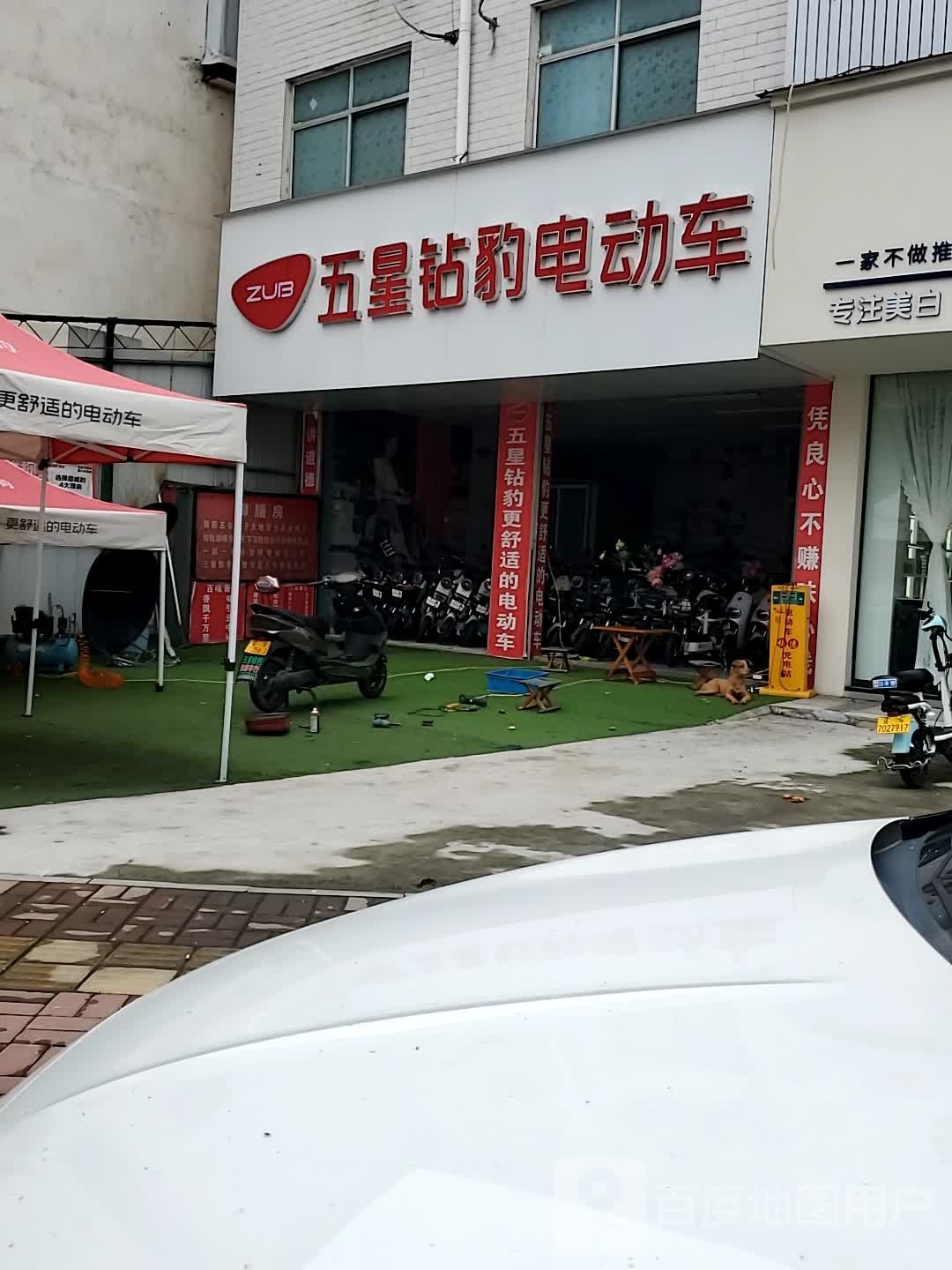 正阳县五星钻豹电动车(建设路店)