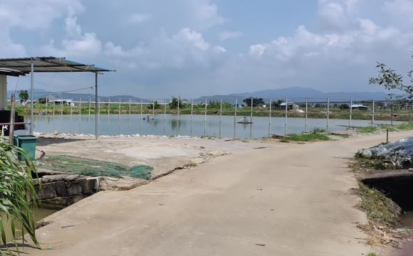 联合私房菜钓鱼场