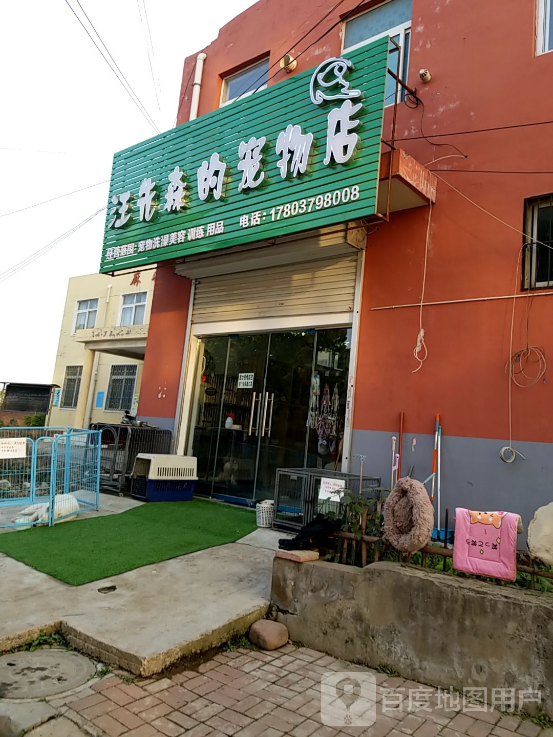 汪先森的宠物店