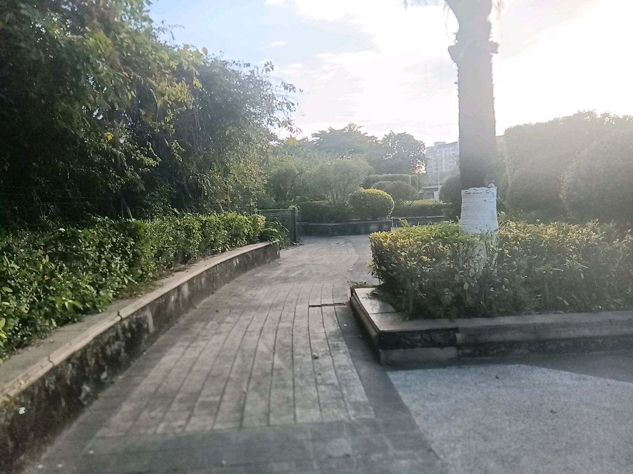 水濂山水库碧道